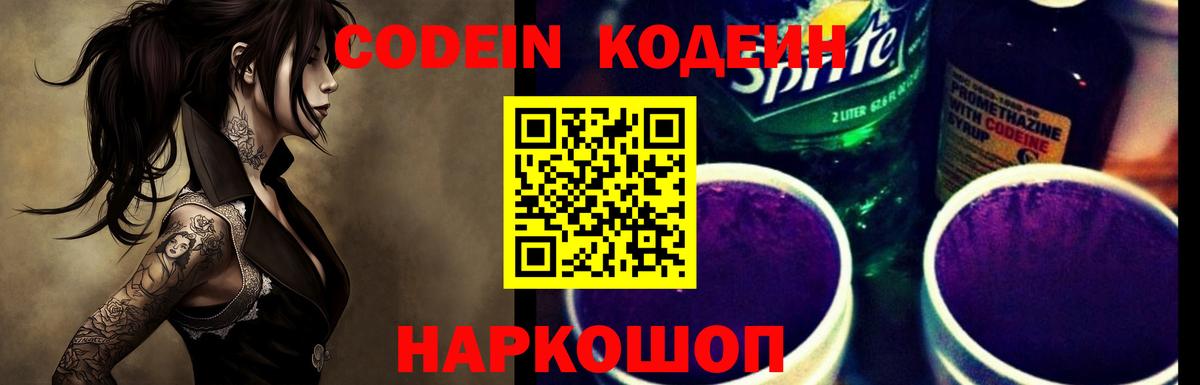 Кодеин напиток Lean (лин)  продажа наркотиков  Кодеиновый сироп Lean напиток Lean (лин)  Ишим  Вход с VPN 